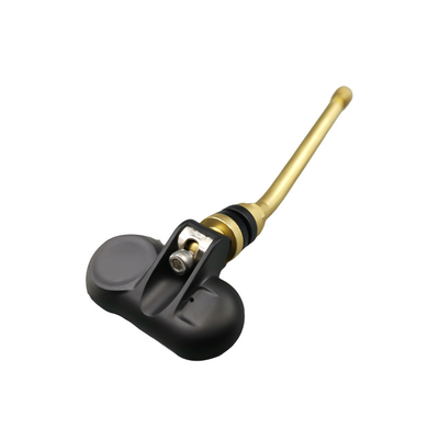 Sistema de vigilância da pressão dos pneus de TPMS rv